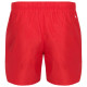 Nike Ανδρικό μαγιό 5'' Volley Swim Shorts